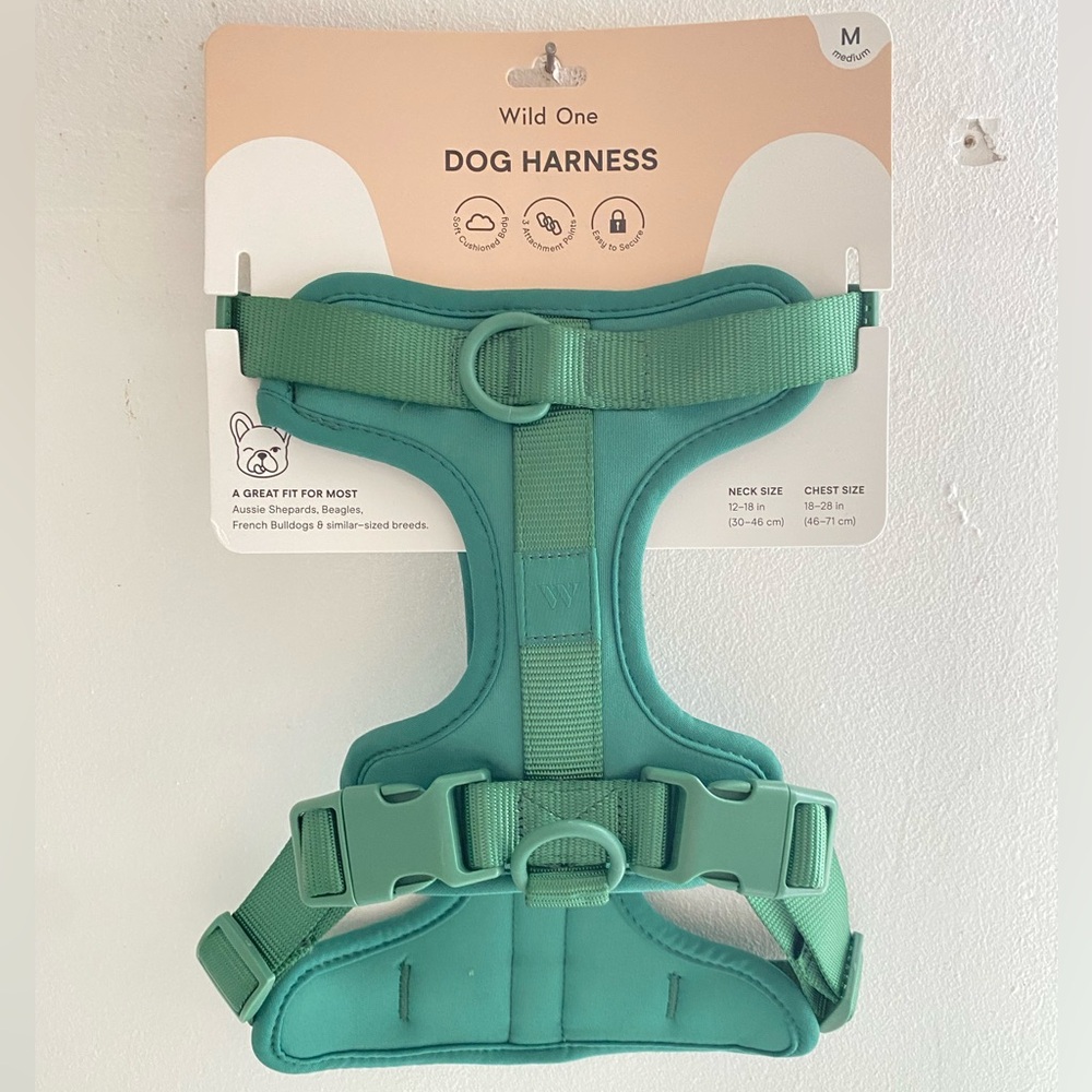 Wild One Teal Dog Harness - Medium
